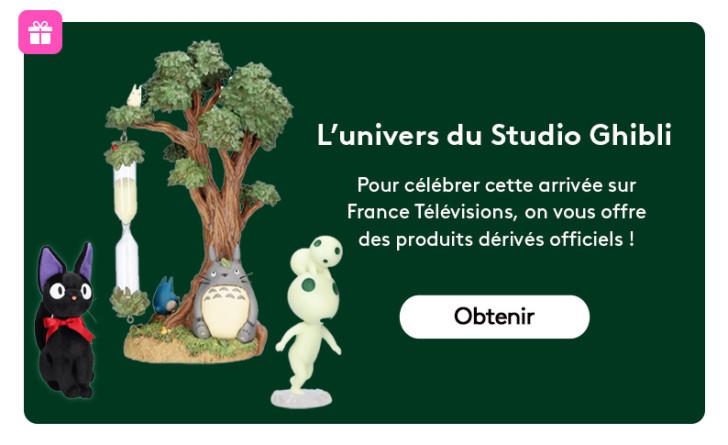 Jeu Studio Ghibli